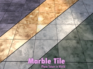 In World Example Photo marble tile 1